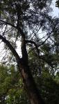 Imagine atasata: IMG_20180914_173456059.jpg
